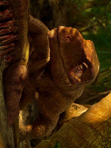 Marasuchus vs Lagosuchus