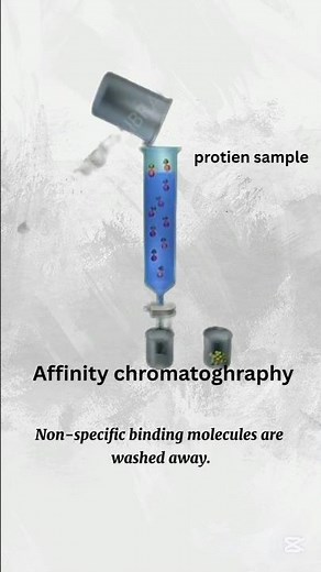 Affinity Chromatography Animation #youtube #youtubeshorts #viralvideo #chemistryeducation