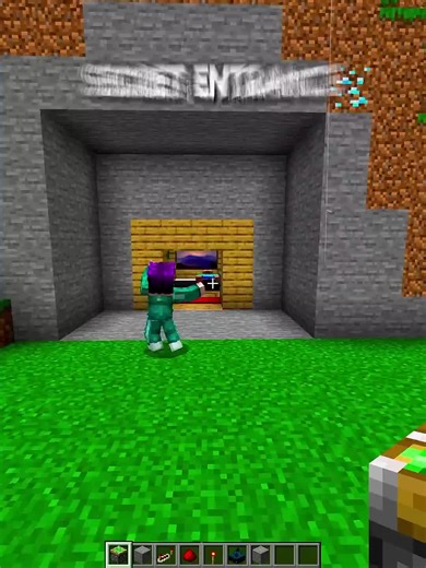 Minecraft Secret Entrance 🤯 #minecraft #usafyp #fyp #unitedstates #foryoupage