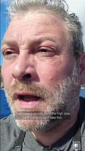 What the Pitcairn Islands can teach us about ocean conservation 🌊🐟️