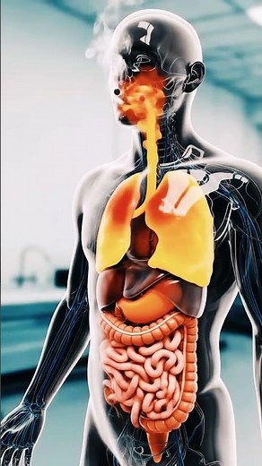 BEST EXERCISE PROGRAM for Longevity per Peter Attia - Joe Rogan Podcast