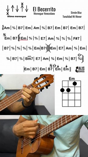 El Becerrito (La vaca mariposa) Acordes de grabación de Simón Díaz El Becerrito Este merengue conocido también como La Vaca Mariposa, con autoría nuestro Tío Simón Díaz, es una de esas joyas de nuestro repertorio. En éste video hice la ilustración de los acordes para la grabación con la voz de Simón Díaz, la cual está en tonalidad de Mi menor. Espero que disfruten del contenido www.aliscruces.com | Alis Cruces