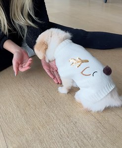 Steven Slate on Reels