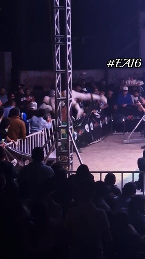 ¡Impacto brutal! Hijo de Fishman manda por los aires al Hijo de Máscara Sagrada #EA16 #luchalibre