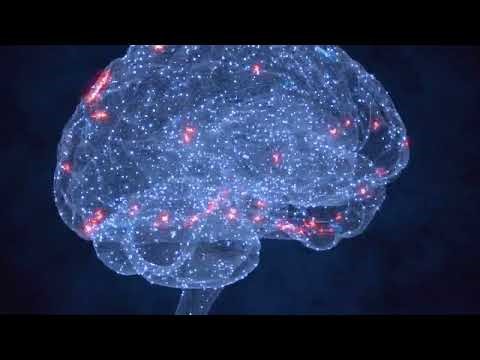 Lost Memory (visualizer)