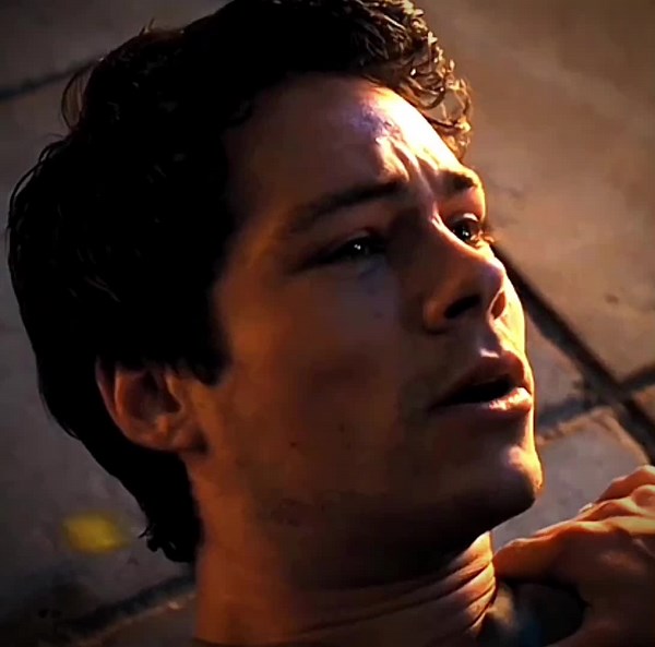 Exploring The Maze Runner Series Characters