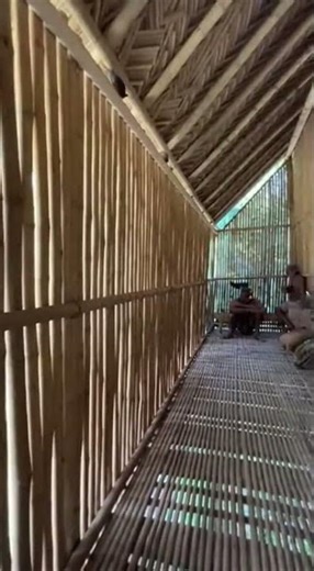 Korowai Homes: Tall Yet Compact #Korowai #UniqueArchitecture #CulturalInsights