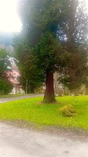 Der Kurpark in Bad Wildbad, im Schwarzwald.