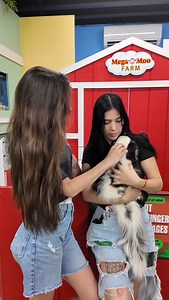 A skunk as a PET?! 🤯 | NJ Exotic Pets