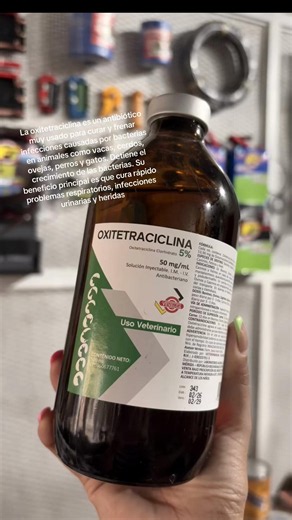 La oxitetraciclina es un antibiótico muy usado para curar y frenar infecciones causadas por bacterias en animales como vacas, cerdos, ovejas, perros y gatos. Detiene el crecimiento de las bacterias. Su beneficio principal es que cura rápido problemas respiratorios, infecciones urinarias y heridas. #veterinaria #med #agropecuaria