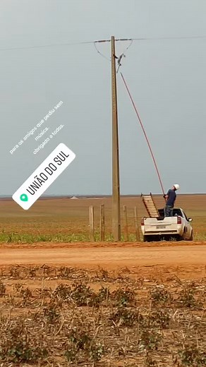 Climbing Utility Poles Safely: A Step-by-Step Guide