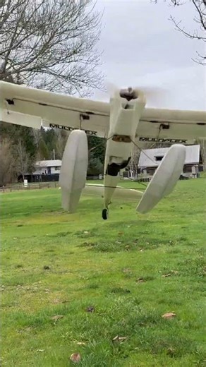 Float flying goes wrong #crash #rc #floatflying