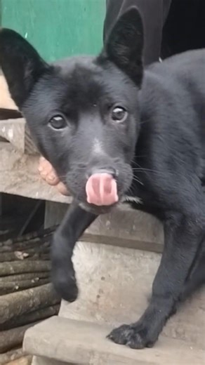 time pass sala sap and nice village