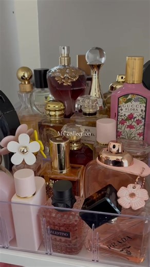 Exploring My Perfume Collection