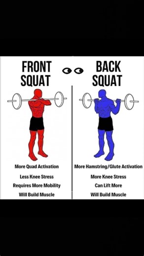 Front squat vs back squat