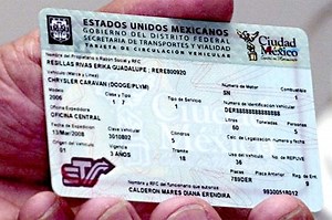 Consulter le Renouvellement de la Carte de Circulation - VidaBytes