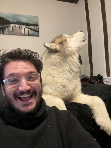 Hilarious Howling Dog Compilation
