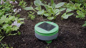 2M views · 1.9K reactions | NO MORE WEEDING | Dose | Facebook