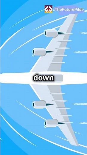 Why Airplanes Have Winglets Explained!