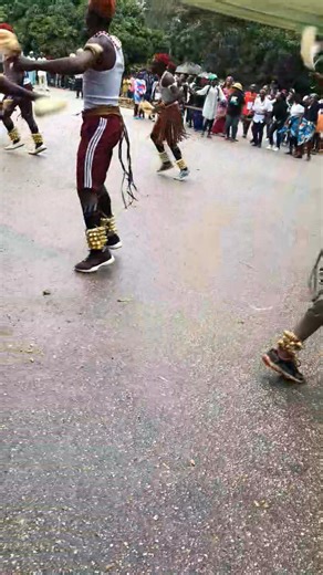 16 reactions · 8 comments | TB museum day!! These are the iregwe male dancers in display and my baby vibing with them. You are in Jos? Then don't miss "Otu Rigwe coming up this Saturday 25th/10/2025 at polo field Jos. There will be evening event also at Alliance Française de Jos on 24th #followersreelsfypシ゚viralシfypシ゚viral | Maryamu Emjay | Facebook