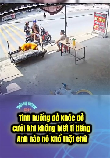 Bất đồng ngôn ngữ nó khổ thật đấy 😹 #tiktokvietnam🇻🇳 #thoisu #thoisutiktok360