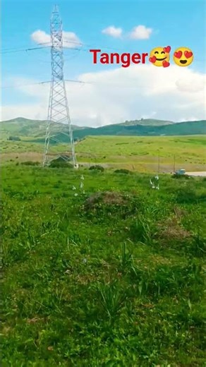 أجمل أغنية جبلية #جمال_الطبيعة_فى_كل_شىء #viral #aghani_arabia