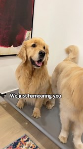 133K views · 10K reactions | In case you were wondering what the boys have been up to this past week .. here's our weekly roundup with some never seen before footage ☺️ | Sterling Newton | Facebook