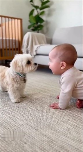 Baby Talks to Dog ‘Ba Ba’ vs ‘Woof Woof’ – Cutest Conversation on the Internet!
