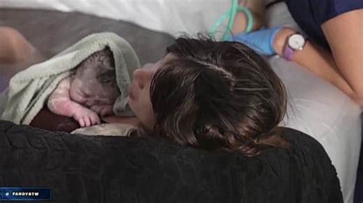 Fandy Birth Livestream | Know Your Meme