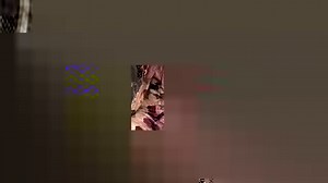 2.9K views · 52 reactions | Peter Falk steals the show on Tuesday! | Movies TV Network | Facebook