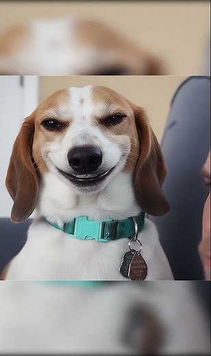 sus dog #dogs #memes #funny
