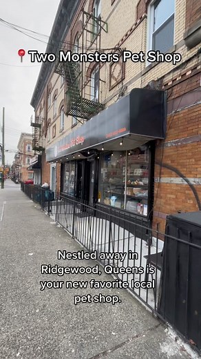 Discover 2 Monsters Pet Shop in Ridgewood, Queens