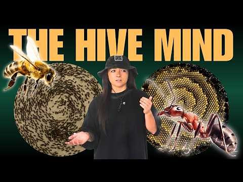 Earth’s “Alien” Societies: Superorganisms | Lindsay Nikole