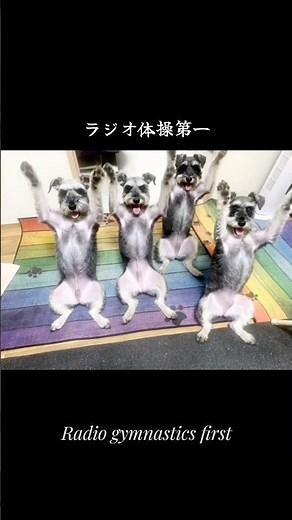 🤸ラジオ体操第一➰🎵運動不足解消🤗