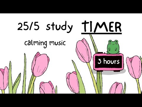 Study Timer Pink Tulips | Calming Music, Pomodoro, Alarms