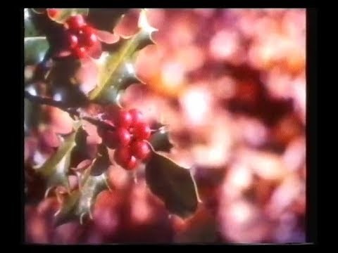 BBC2 Closedown - Christmas Eve 1988