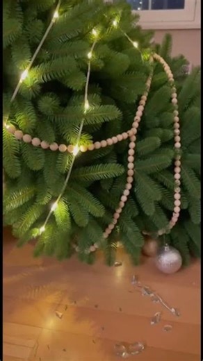 Tiny Cat Knocks Down Stack of Glasses! Christmas Catastrophe! 🤯