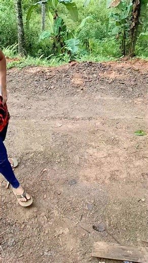 Sure na gyud ka sa akoa... #hilightseveryonefollowers2025 #highlights2025 #millionviewsreels #highlightseveryonefollowers2025 #highlightseveryonefollowers2025a | Probinsyanong Kabisdak