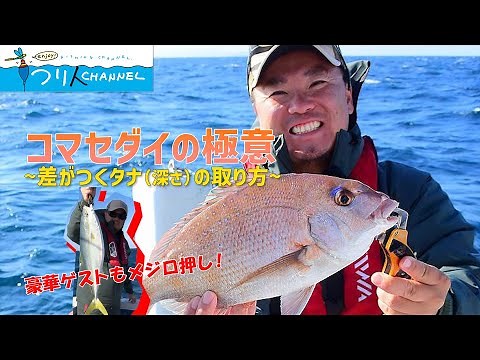 「マダイ釣りの定番“コマセダイ”の極意」釣り名人の秘密を暴け！第40回