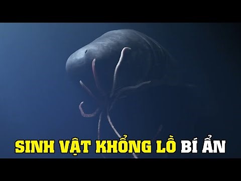 Sperm Whale - The Mystery of the Largest Mammal | Explore the World of Wildlife
