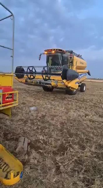 New Holland Combine Harvester in Action