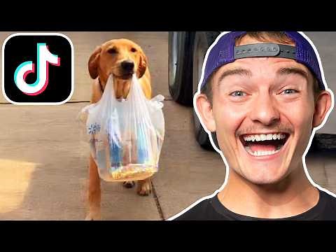 Most Popular Videos In The World