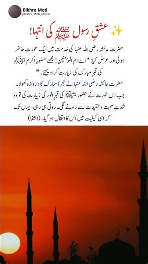 The Love of the Prophet ﷺ: A Unique Example of Hazrat Aisha (RA) #shorts