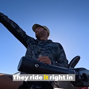 49K views · 784 reactions | THE BOYS - The Ultimate Camping & Fishing Adventure ( Catch and Cook)  FDYS SHOP  https://www.fielddaysshop.com  | Field Days | Facebook