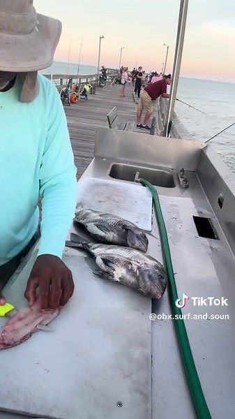 Perseverance Pays: Got my Sheepshead in the Outer Banks!!!#fishing #fish #outerbanks #obxsurfandsoundfishing