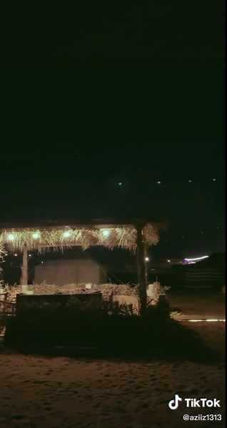 Serene Nighttime Scene with Illuminated Pathway