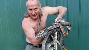 ‘They are everywhere at the moment’