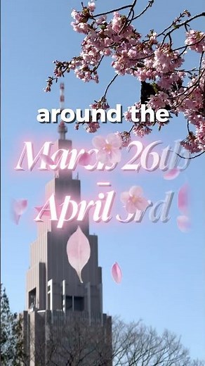 🌸 Planning a trip to Japan for cherry blossom season? Save this! 🌸