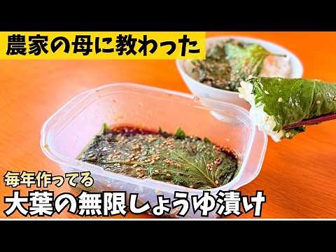 【My Farmer Mom's Recipe】Endlessly Addictive Shiso Soy-Sauce Marinade — Perfect on Rice or Cold Tofu