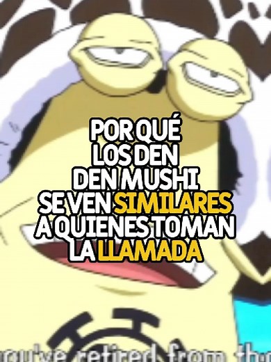 Algo que quizás no sabias de los den den mushi, One Piece #onepiece | Den Den Mushi One Piece